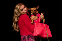 Legally Blonde 2021
